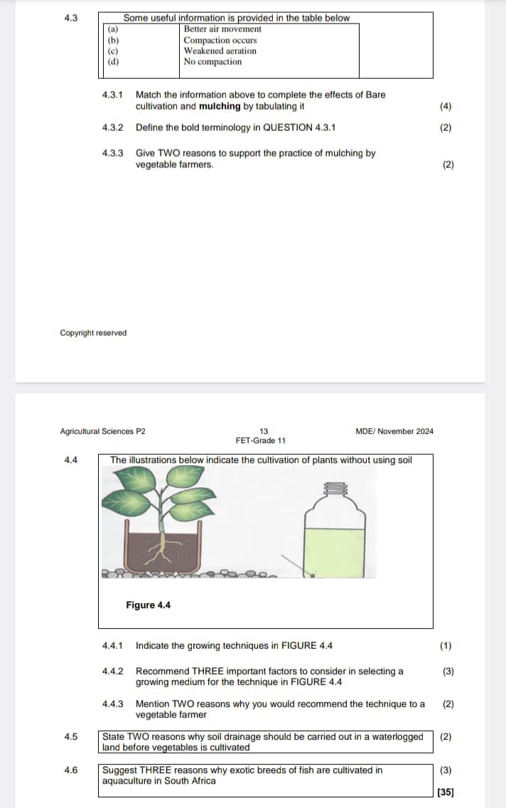 4 
4.3.1 Match the information above to complete the effects of Bare 
cultivation and mulching by tabulating it (4) 
4.3.2 Define the bold terminology in QUESTION 4.3.1 (2) 
4.3.3 Give TWO reasons to support the practice of mulching by 
vegetable farmers. (2) 
Copyright reserved 
Agricultural Sciences P2 13 MDE/ November 2024 
FET-Grade 11 
4. 
4.4.1 Indicate the growing techniques in FIGURE 4.4 
(1) 
4.4.2 Recommend THREE important factors to consider in selecting a (3) 
growing medium for the technique in FIGURE 4.4 
4.4.3 Mention TWO reasons why you would recommend the technique to a (2) 
vegetable farmer 
4.5 State TWO reasons why soil drainage should be carried out in a waterlogged (2) 
land before vegetables is cultivated 
4.6 Suggest THREE reasons why exotic breeds of fish are cultivated in (3) 
aquaculture in South Africa 
[35]