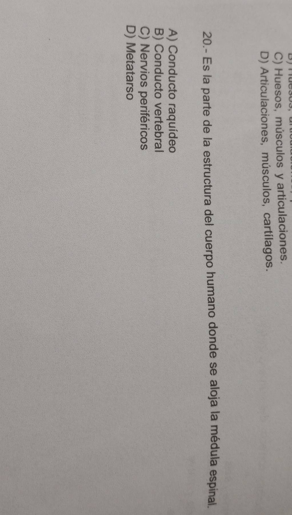 Byhues
C) Huesos, músculos y articulaciones.
D) Articulaciones, músculos, cartílagos.
20.- Es la parte de la estructura del cuerpo humano donde se aloja la médula espinal.
A) Conducto raquídeo
B) Conducto vertebral
C) Nervios periféricos
D) Metatarso