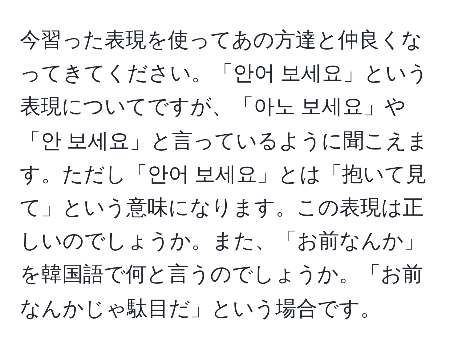 今習った表現を使ってあの方達と仲良くなってきてください。「안어 보세요」という表現についてですが、「아노 보세요」や「안 보세요」と言っているように聞こえます。ただし「안어 보세요」とは「抱いて見て」という意味になります。この表現は正しいのでしょうか。また、「お前なんか」を韓国語で何と言うのでしょうか。「お前なんかじゃ駄目だ」という場合です。