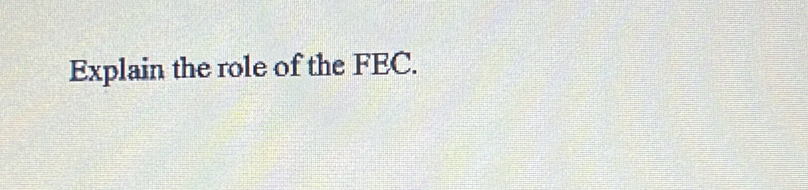 Explain the role of the FEC.