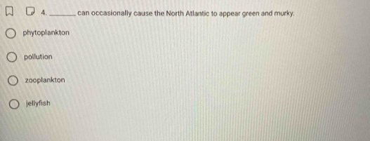 can occasionally cause the North Atlantic to appear green and murky.
phytoplankton
pollution
zooplankton
jellyfish