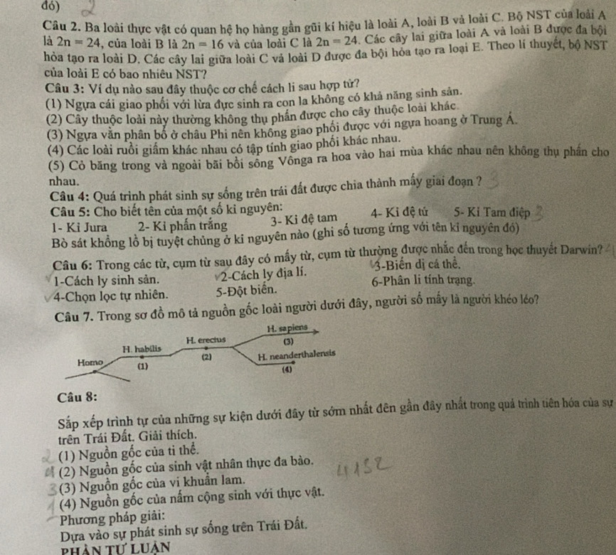 đó)
Câu 2. Ba loài thực vật có quan hệ họ hàng gần gũi kí hiệu là loài A, loài B và loài C. Bộ NST của loài A
là 2n=24 , của loài B là 2n=16 và của loài C là 2n=24. Các cây lai giữa loài A và loài B được đa bội
hòa tạo ra loài D. Các cây lai giữa loài C vả loài D được đa bội hỏa tạo ra loại E. Theo lí thuyết, bộ NST
của loài E có bao nhiêu NST?
Câu 3: Ví dụ nào sau đây thuộc cơ chế cách li sau hợp tử?
(1) Ngựa cái giao phối với lừa đực sinh ra con la không có khả năng sinh sản.
(2) Cây thuộc loài này thường không thu phân được cho cây thuộc loài khác
(3) Ngựa vằn phân bố ở châu Phi nên không giao phối được với ngựa hoang ở Trung Á.
(4) Các loài ruồi giấm khác nhau có tập tính giao phối khác nhau.
(5) Cỏ băng trong và ngoài bãi bồi sông Vônga ra hoa vào hai mùa khác nhau nên không thụ phần cho
nhau.
Câu 4: Quá trình phát sinh sự sống trên trái đất được chia thành mấy giai đoạn ?
Câu 5: Cho biết tên của một số kỉ nguyên: 4- Kỉ đệ tứ 5- Ki Tam điệp
1- Ki Jura  2- Ki phấn trắng  3- Ki đệ tam
Bò sát khồng lồ bị tuyệt chủng ở kỉ nguyên nào (ghi số tương ứng với tên kỉ nguyên đó)
Câu 6: Trong các từ, cụm từ sau đây có mấy từ, cụm từ thường được nhắc đến trong học thuyết Darwin?
-Cách ly sinh sản. 2-Cách ly địa lí. 3-Biển dị cá thể,
6-Phân li tính trạng.
4-Chọn lọc tự nhiên. 5-Đột biển.
Câu 7. Trong sơ đồ mô tả nguồn gốc loài người dưới đây, người số mấy là người khéo léo?
Câu 8:
Sắp xếp trình tự của những sự kiện dưới đây từ sớm nhất đên gần đây nhất trong quá trình tiên hóa của sự
trên Trái Đất. Giải thích.
(1) Nguồn gốc của ti thể.
(2) Nguồn gốc của sinh vật nhân thực đa bào.
(3) Nguồn gốc của vi khuẩn lam.
(4) Nguồn gốc của nấm cộng sinh với thực vật.
Phương pháp giải:
Dựa vào sự phát sinh sự sống trên Trái Đất.
Phản tư luân