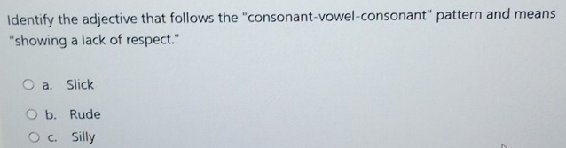 Identify the adjective that follows the "consonant-vowel-consonant" pattern and means
"showing a lack of respect."
a. Slick
b. Rude
c. Silly