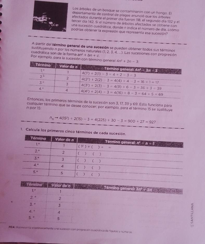 Los árboles de un bosque se contaminaron con un hongo. El
departamento de control de plagas anunció que los árboles
afectados durante el primer día fueron 118, el segundo día 132 y el
tercer día 142. Si el número de árboles afectados se obtiene con
una sucesión cuadrática, donde n indica el número de día, ¿cómo
podrías obtener la expresión que representa esa sucesión?
A partir del término general de una sucesión se pueden obtener todos sus términos
sustituyendo n por los números naturales (1, 2, 3, 4, ...). Las sucesiones con progresión
cuadrática son de la forma an^2+bn+c.
Por ejemplo, para la sucesión con té
primeros términos de la sucesión son 3, 17, 39 y 69. Esto funciona para
cualquier término que se desee conocer; por ejemplo, para el término 15 se sustituye
n por 15:
n_15to 4(15^2)+2(15)-3=4(225)+30-3=900+27=927
1. Calcula los primeros cinco términos d
Término a  Vaior d
1.^circ  1
2.^circ  2
3.^circ  3
4. ^circ  4
4 5,^circ  5
PDA; Rabreserita algebraicamente una sucesión con progresión cuadrática de figuras y numeros