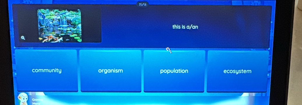 35/51
this is a/an
community organism population ecosystem