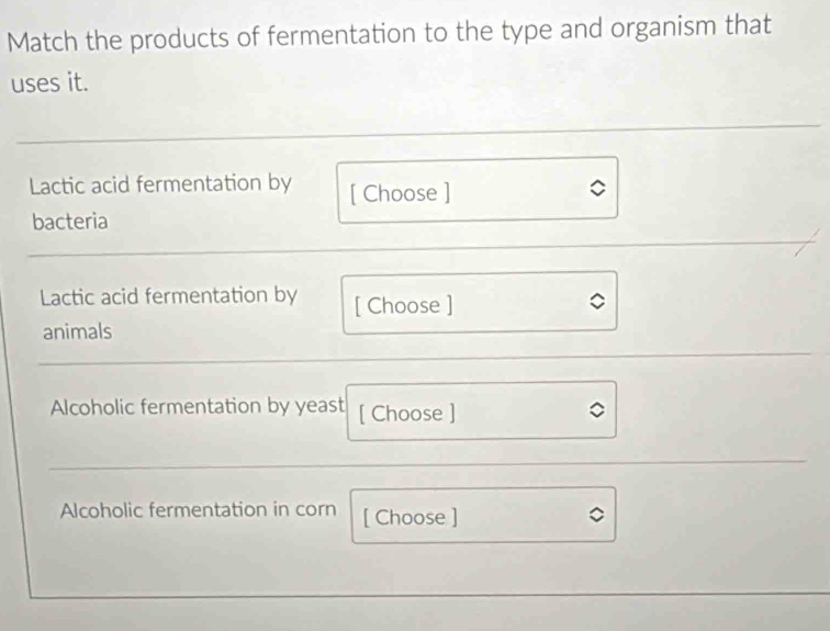 Match the products of fermentation to the type and organism that 
uses it. 
Lactic acid fermentation by [ Choose ] 
bacteria 
Lactic acid fermentation by [ Choose ] 
animals 
Alcoholic fermentation by yeast [ Choose ] 
Alcoholic fermentation in corn [ Choose ]