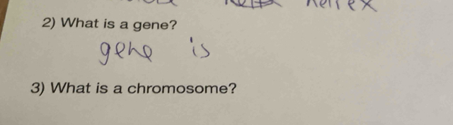 What is a gene? 
3) What is a chromosome?