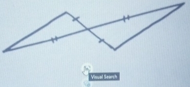 Visual Search