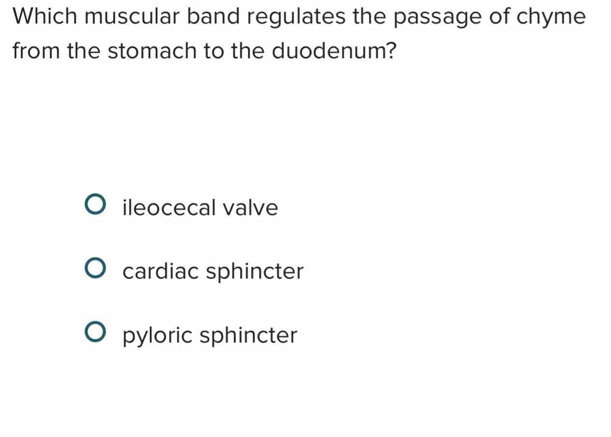 Which muscular band regulates the passage of chyme
from the stomach to the duodenum?
ileocecal valve
cardiac sphincter
pyloric sphincter