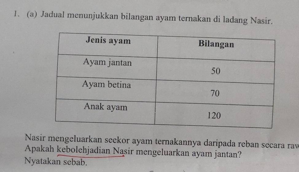 Jadual menunjukkan bilangan ayam ternakan di ladang Nasir. 
Nasir mengeluarkan seekor ayam ternakannya daripada reban secara rav 
Apakah kebolehjadian Nasir mengeluarkan ayam jantan? 
Nyatakan sebab.