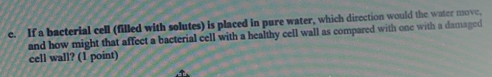 If a bacterial cell (filled with solutes) is placed in pure water, which direction would the water move, 
and how might that affect a bacterial cell with a healthy cell wall as compared with one with a damaged 
cell wall? (1 point)