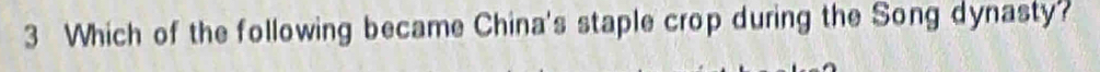 Which of the following became China's staple crop during the Song dynasty?
