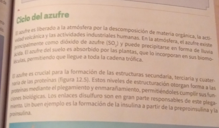 a 
Ciclo del azufre 
El azufre es liberado a la atmósfera por la descomposición de materia orgánica, la acti- 
vidad volcánica y las actividades industriales humanas. En la atmósfera, el azufre existe 
principalmente como dióxido de azufre (SO_2) y puede precipitarse en forma de lluvia 
ácida. El azufre del suelo es absorbido por las plantas, que lo incorporan en sus biomo- 
éculas, permitiendo que llegue a toda la cadena trófica. 
El azufre es crucial para la formación de las estructuras secundaría, terciaria y cuater- 
naria de las proteínas (figura 12.5). Estos niveles de estructuración otorgan forma a las 
poteínas mediante el plegamiento y enmarañamiento, permitiéndoles cumplir sus fun- 
ciones biológicas. Los enlaces disulfuro son en gran parte responsables de este plega- 
miento. Un buen ejemplo es la formación de la insulina a partir de la preproinsulína y la 
proinsulina.