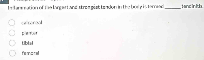 Inflammation of the largest and strongest tendon in the body is termed _tendinitis.
calcaneal
plantar
tibial
femoral