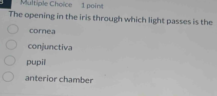 The opening in the iris through which light passes is the
cornea
conjunctiva
pupil
anterior chamber