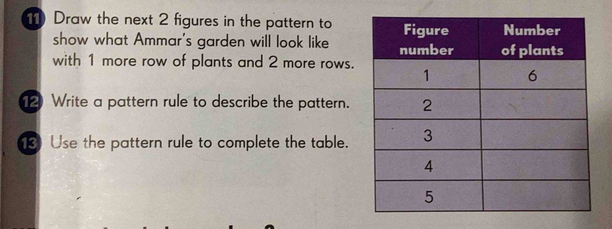 Draw the next 2 figures in the pattern to 
show what Ammar's garden will look like 
with 1 more row of plants and 2 more rows. 
12 Write a pattern rule to describe the pattern. 
13 Use the pattern rule to complete the table.