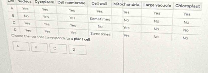 Cell Nucleus Cytopiasm Cell m 
A B C D