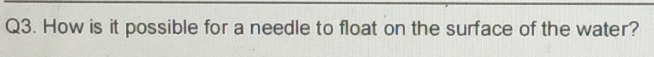 How is it possible for a needle to float on the surface of the water?