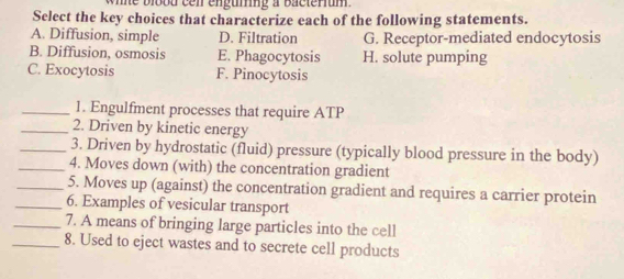 he blood cen enguming a Bacterium .
Select the key choices that characterize each of the following statements.
A. Diffusion, simple D. Filtration G. Receptor-mediated endocytosis
B. Diffusion, osmosis E. Phagocytosis H. solute pumping
C. Exocytosis F. Pinocytosis
_1. Engulfment processes that require ATP
_2. Driven by kinetic energy
_3. Driven by hydrostatic (fluid) pressure (typically blood pressure in the body)
_4. Moves down (with) the concentration gradient
_5. Moves up (against) the concentration gradient and requires a carrier protein
_6. Examples of vesicular transport
_7. A means of bringing large particles into the cell
_8. Used to eject wastes and to secrete cell products