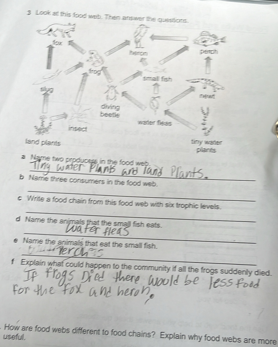 Solved: Look at this food web. Than answer the questions. fox heron perch  frog small fish slug new [Others], image size:939x1170