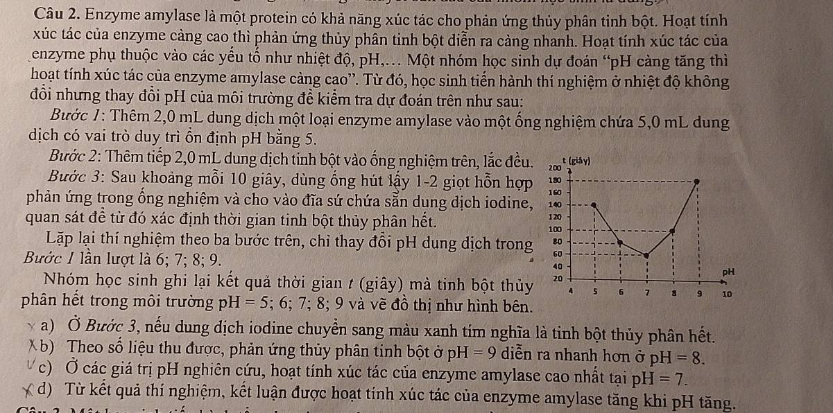 Enzyme amylase là một protein có khả năng xúc tác cho phản ứng thủy phân tinh bột. Hoạt tính
xúc tác của enzyme càng cao thì phản ứng thủy phân tinh bột diễn ra cảng nhanh. Hoạt tính xúc tác của
enzyme phụ thuộc vào các yếu tố như nhiệt độ, pH,... Một nhóm học sinh dự đoán “pH càng tăng thì
hoạt tính xúc tác của enzyme amylase càng cao''. Từ đó, học sinh tiến hành thí nghiệm ở nhiệt độ không
đồi nhưng thay đồi pH của môi trường đề kiểm tra dự đoán trên như sau:
Bước 1: Thêm 2,0 mL dung dịch một loại enzyme amylase vào một ống nghiệm chứa 5,0 mL dung
dịch có vai trò duy trì ồn định pH bằng 5.
Bước 2: Thêm tiếp 2,0 mL dung dịch tinh bột vào ống nghiệm trên, lắc đều.
Bước 3: Sau khoảng mỗi 10 giây, dùng ống hút lấy 1-2 giọt hỗn hợp
phản ứng trong ống nghiệm và cho vào đĩa sứ chứa sẵn dung dịch iodine,
quan sát để từ đó xác định thời gian tinh bột thủy phân hết. 
Lặp lại thí nghiệm theo ba bước trên, chỉ thay đổi pH dung dịch trong
Bước 1 lần lượt là 6; 7; 8; 9. 
Nhóm học sinh ghi lại kết quả thời gian t (giây) mà tinh bột thủy
phân hết trong môi trường pH=5: ;6;7;8;9 và về đồ thị như hình bên.
a) Ở Bước 3, nếu dung dịch iodine chuyển sang màu xanh tím nghĩa là tinh bột thủy phân hết.
b) Theo số liệu thu được, phản ứng thủy phân tinh bột ở pH=9 diễn ra nhanh hơn ở pH=8.
c) Ở các giá trị pH nghiên cứu, hoạt tính xúc tác của enzyme amylase cao nhất tại pH=7.
d) Từ kết quả thí nghiệm, kết luận được hoạt tính xúc tác của enzyme amylase tăng khi pH tăng.