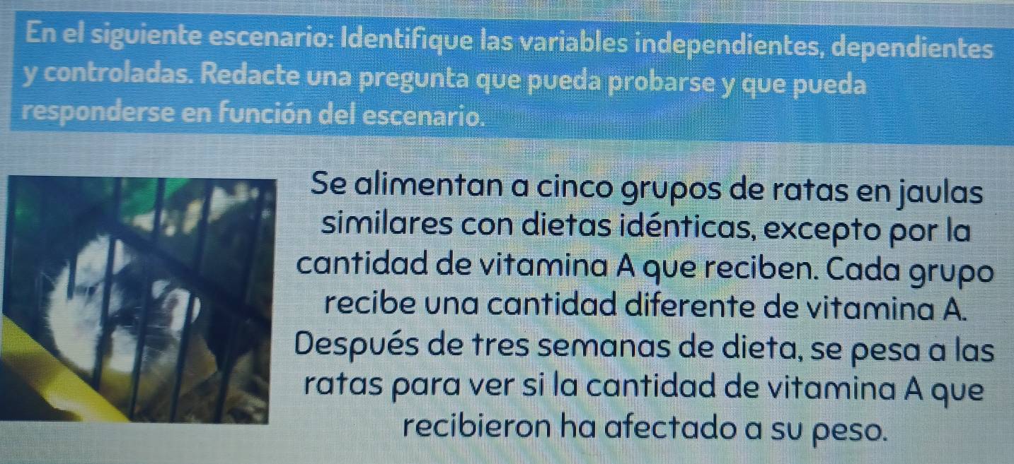 En el siguiente escenario: Identifique las variables independientes, dependientes 
y controladas. Redacte una pregunta que pueda probarse y que pueda 
responderse en función del escenario. 
Se alimentan a cinco grupos de ratas en jaulas 
similares con dietas idénticas, excepto por la 
antidad de vitamina A que reciben. Cada grupo 
recibe una cantidad diferente de vitamina A. 
espués de tres semanas de dieta, se pesa a las 
ratas para ver si la cantidad de vitamina A que 
recibieron ha afectado a su peso.