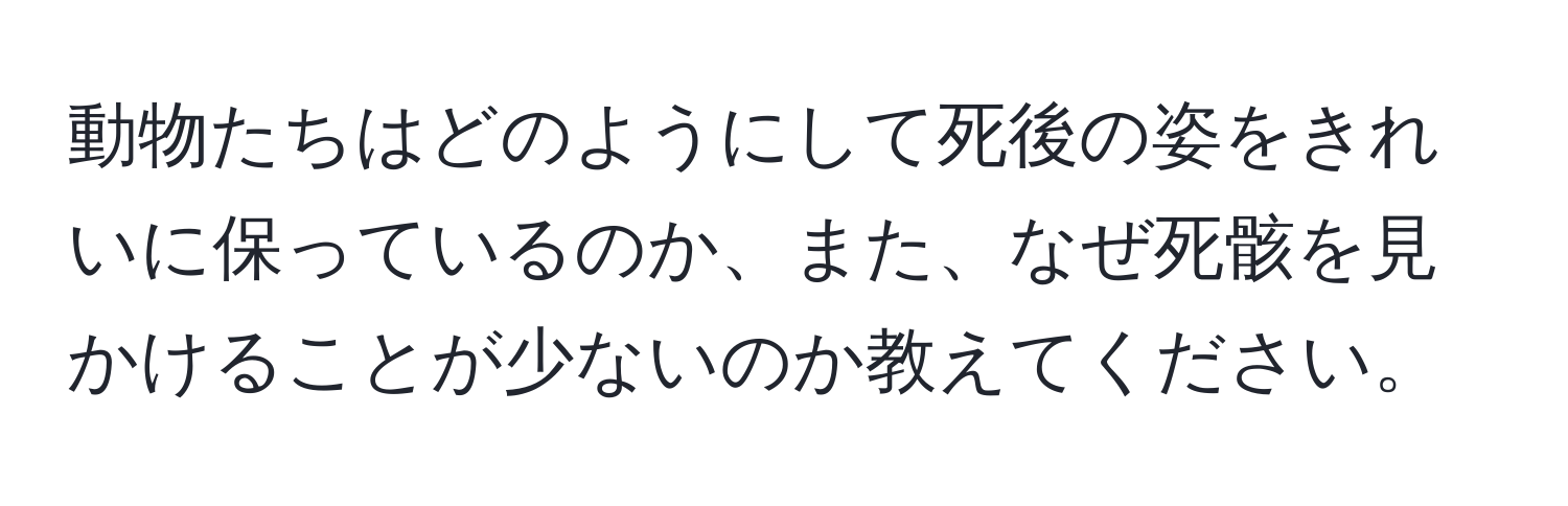 動物たちはどのようにして死後の姿をきれいに保っているのか、また、なぜ死骸を見かけることが少ないのか教えてください。