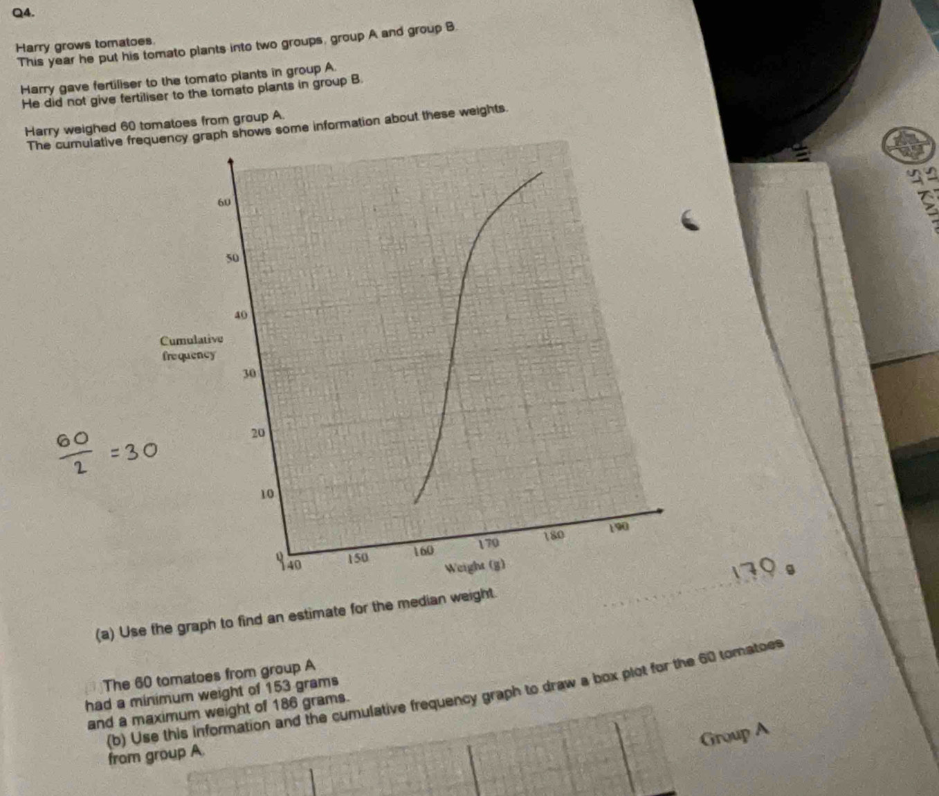 Harry grows tomatoes. This year he put his tomato plants into two groups, group A and group B 
Harry gave fertiliser to the tomato plants in group A. 
He did not give fertiliser to the tomato plants in group B. 
Harry weighed 60 tomatoes from group A. 
The cumulative fr shows some information about these weights. 
(a) Use the graph to find an estimate for the median wei 
The 60 tomatoes from group A 
had a minimum weight of 153 grams
(b) Use this information and the cumulative frequency graph to draw a box plot for the 60 tomatoes 
and a maximum weight of 186 grams. 
Group A 
from group A.