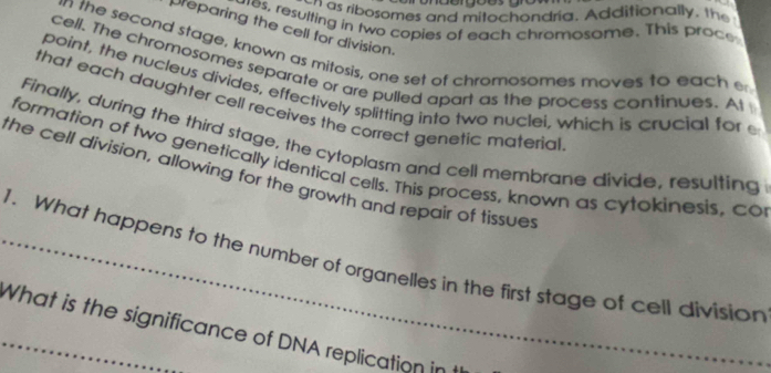 as ribosomes and mitochondria. Additionally, the 
ures, resulting in two copies of each chromosome. This proce 
reparing the cell for division. 
on the second stage, known as mitosis, one set of chromosomes moves to each e 
cell. The chromosomes separate or are pulled apart as the process continues. At 
point, the nucleus divides, effectively splitting into two nuclei, which is crucial for e 
that each daughter cell receives the correct genetic material 
Finally, during the third stage, the cytoplasm and cell membrane divide, resulting 
formation of two genetically identical cells. This process, known as cytokinesis, co 
the cell division, allowing for the growth and repair of tissues 
_1. What happens to the number of organelles in the first stage of cell division 
_What is the significance of DNA replication in