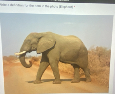 Write a definition for the item in the photo (Elephant) *