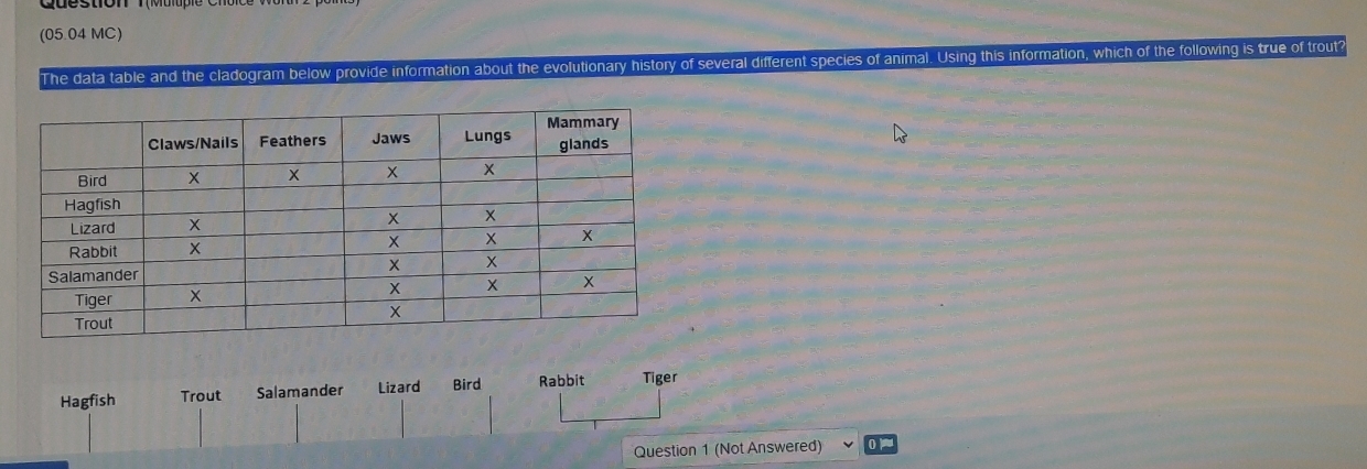 (05.04 MC)
The data table and the cladogram below provide information about the evolutionary history of several different species of animal. Using this information, which of the following is true of trout?
HagfishLizard Bird Rabbit Tiger
Question 1 (Not Answered)