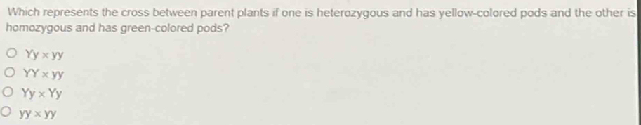 Which represents the cross between parent plants if one is heterozygous and has yellow-colored pods and the other is
homozygous and has green-colored pods?
Yy* yy
YY* yy
Yy* Yy
yy* yy