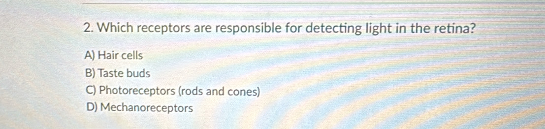 Which receptors are responsible for detecting light in the retina?
A) Hair cells
B) Taste buds
C) Photoreceptors (rods and cones)
D) Mechanoreceptors