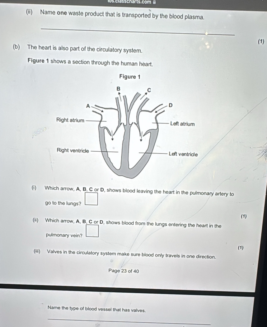 los.clässchärts.com 
(ii) Name one waste product that is transported by the blood plasma. 
_ 
_ 
(1) 
(b) The heart is also part of the circulatory system. 
Figure 1 shows a section through the human heart. 
(i) Which arrow, A, B, C or D, shows blood leaving the heart in the pulmonary artery to 
go to the lungs? 
(1) 
(ii) Which arrow, A, B, C or D, shows blood from the lungs entering the heart in the 
pulmonary vein? 
(1) 
(iii) Valves in the circulatory system make sure blood only travels in one direction. 
Page 23 of 40 
Name the type of blood vessel that has valves. 
_