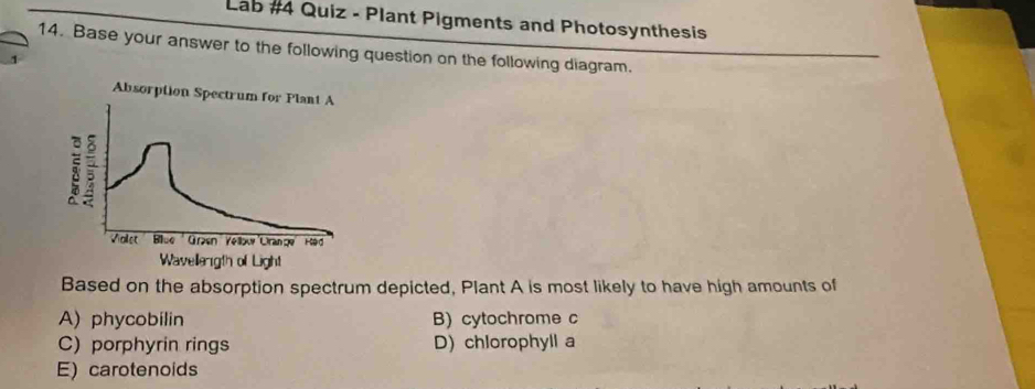 Lab #4 Quiz - Plant Pigments and Photosynthesis
14. Base your answer to the following question on the following diagram.
Based on the absorption spectrum depicted, Plant A is most likely to have high amounts of
A) phycobilin B) cytochrome c
C) porphyrin rings D) chlorophyll a
E) carotenoids