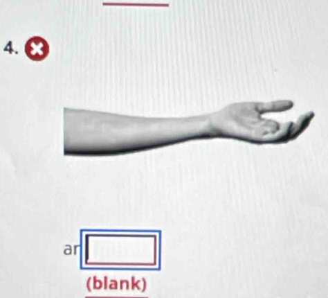 ar 
(blank)