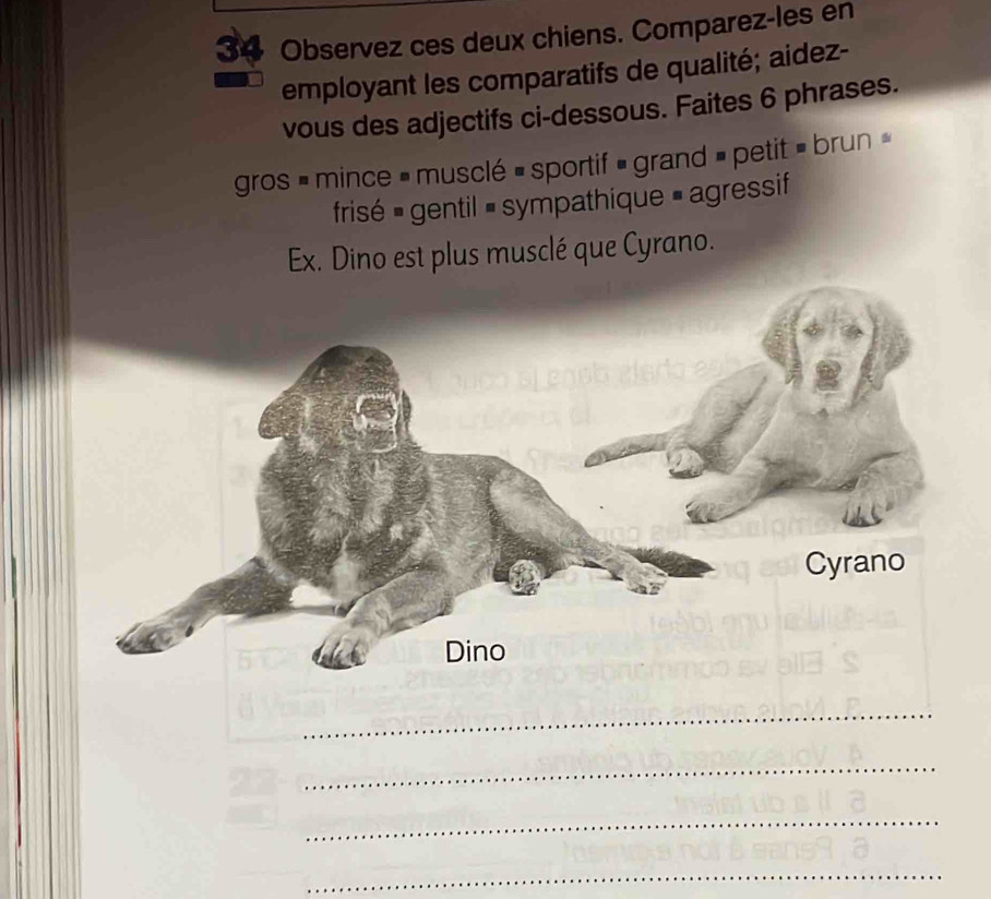 Observez ces deux chiens. Comparez-les en 
employant les comparatifs de qualité; aidez- 
vous des adjectifs ci-dessous. Faites 6 phrases. 
gros » mince » musclé « sportif » grand » petit » brun » 
frisé # gentil # sympathique = agressif 
Ex. Dino est plus musclé que Cyrano. 
_ 
_ 
_