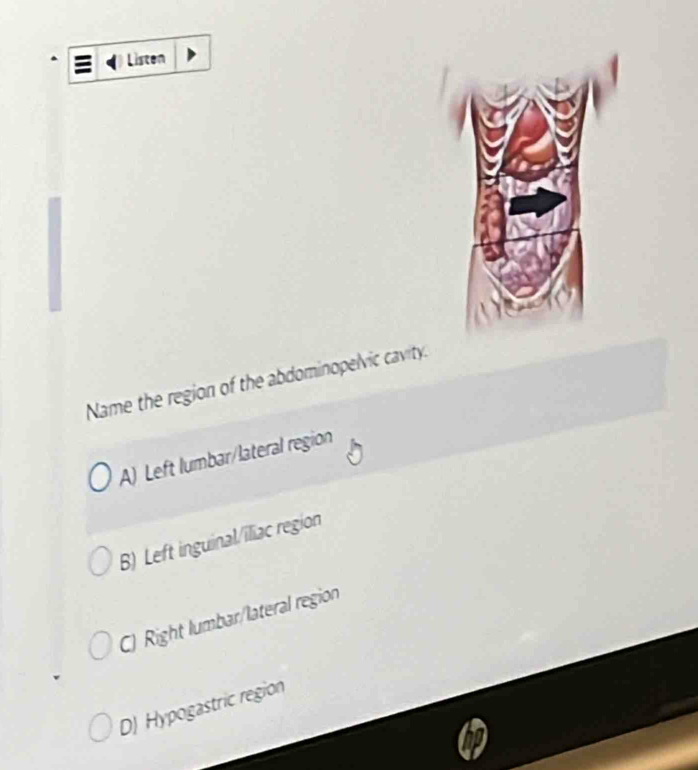 Listen
Name the region of the abdominopelvic cavity.
A) Left lumbar/lateral region
B) Left inguinal/iliac region
C) Right lumbar/lateral region
DJ Hypogastric region