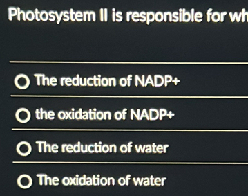 Photosystem II is responsible for wh
The reduction of NADP+
the oxidation of NADP+
The reduction of water
The oxidation of water