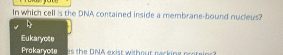 In which cell is the DNA contained inside a membrane-bound nucleus?
Eukaryote
Prokaryote s the DNA exist without nacking prote in