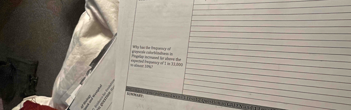 Why has the frequency of 
grayscale colorblindness in 
Pingelap increased far above the 
expected frequency of 1 in 33,000
to almost 10%? 
B é SUMMARY: 
**Go back to your notes and write 1 Level 2 Question in GREEN and 1 ]