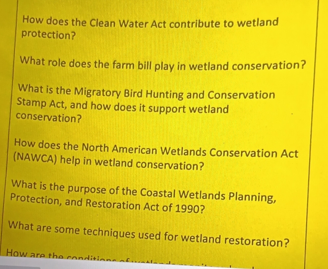 How does the Clean Water Act contribute to wetland 
protection? 
What role does the farm bill play in wetland conservation? 
What is the Migratory Bird Hunting and Conservation 
Stamp Act, and how does it support wetland 
conservation? 
How does the North American Wetlands Conservation Act 
(NAWCA) help in wetland conservation? 
What is the purpose of the Coastal Wetlands Planning, 
Protection, and Restoration Act of 1990? 
What are some techniques used for wetland restoration? 
How are the conditin