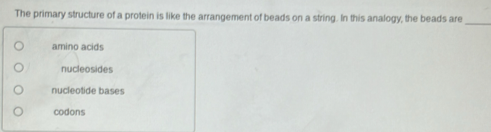 The primary structure of a protein is like the arrangement of beads on a string. In this analogy, the beads are_
amino acids
nucleosides
nucleotide bases
codons