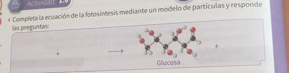 Actividad 
Completa la ecuación de la fotosíntesis mediante un modelo de partículas y responde 
las preguntas: 
+ 
+ 
Glucosa