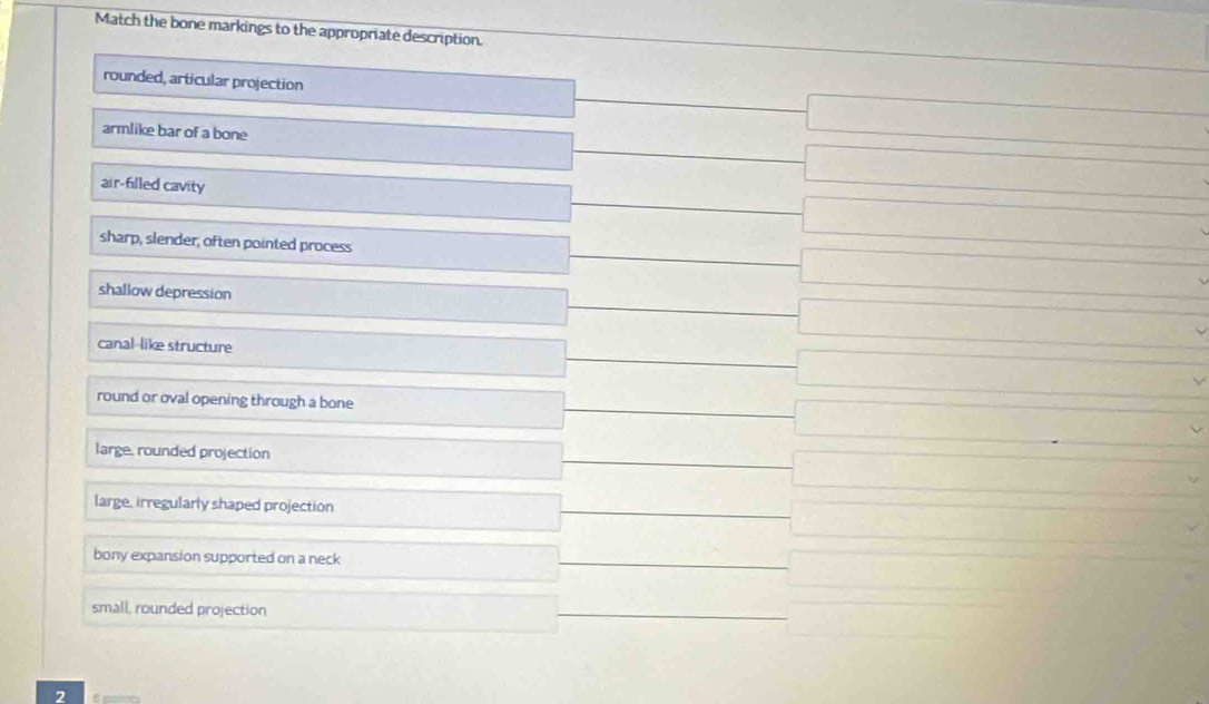 Match the bone markings to the appropriate description.
rounded, articular projection
armlike bar of a bone
air-filled cavity
sharp, slender, often pointed process
shallow depression
canal-like structure
round or oval opening through a bone
large, rounded projection
large, irregularly shaped projection
bony expansion supported on a neck
small, rounded projection
2