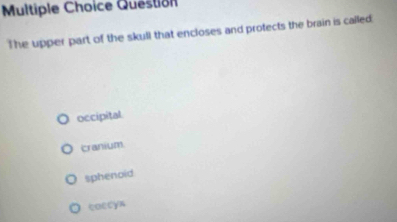 Question
The upper part of the skull that encloses and protects the brain is called.
occipital
cranium
sphenoid
caccys