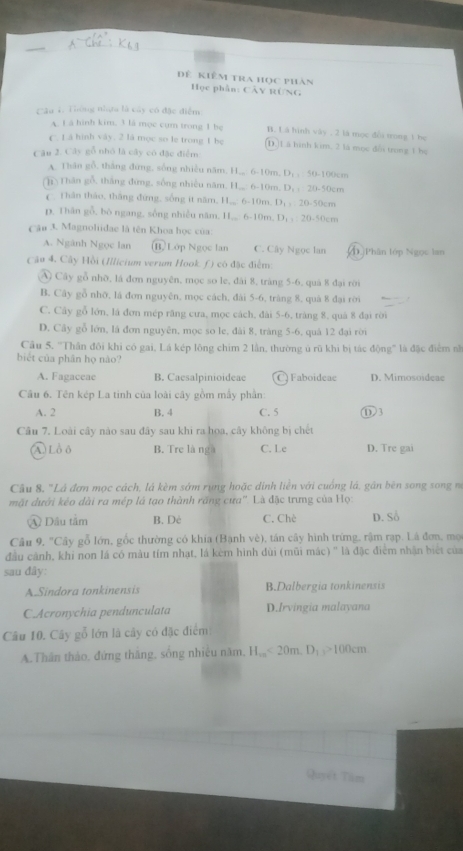 Đê kiêm tra học phàn
Học phần: CâY RÜNG
Câu 4, Thông nhậu là cây có đặc điểm
A. L á hình kim. 3 là mọc cụm trong 1 be B. Là hình vày , 2 là mọc đổi trong 1 họ
C. L.a hình vây. 2 là mọc so le trong 1 be (D.Lã hình kim, 2 là mọc đổi trong 1 họ
Câu 2. Cây gỗ nhó là cây có đặc điểm
A. Thân gỗ, thắng đứng, sống nhiều năm, 11...6-10 m D_11=50-100cm
(h)Thân gỗ, tháng đứng, sống nhiều năm, H,, 6-10m. D_1=20-50cm
C. Thân thảo, thắng đứng, sống ít năm, 11_m 6-10m. D_1=20.50cm
D. Thân gỗ, bò ngang, sống nhiều năm, H,,. 6- l(x) n. D_1,_20 50cm
Câu 3. Magnoliidae là tên Khoa học của:
A. Ngành Ngọc lan ⑪ Lớp Ngọc lan C. Cây Ngọc lan D.Phân lớp Ngọc lan
Câo 4. Cây Hồi (Illicium verum Hook. f) có đặc điểm:
A Cây gỗ nhờ, lá đơn nguyên, mọc so le, đài 8, tràng 5-6, quả 8 đại rời
B. Cây gỗ nhỡ, là đơn nguyên, mọc cách, đài 5-6, tráng 8, quả 8 đại rời
C. Cây gỗ lớn, lá đơn mép răng cưa, mọc cách, đài 5-6, tràng 8, quá 8 đại rời
D. Cây gỗ lớn, là đơn nguyên, mọc so le, đài 8, tráng 5-6, quà 12 đại rời
Câu 5. 'Thân đôi khi có gai, Lá kép lông chim 2 lần, thường ủ rũ khi bị tác động' là đặc điểm nà
biết của phân họ nào?
A. Fagaceae B. Caesalpinioideae C) Faboideae D. Mimosoideae
Câu 6. Tên kép La tinh của loài cây gồm mẫy phần:
A. 2 B.4 C. 5 ① 3
Câu 7. Loài cây nào sau đây sau khi ra hoa, cây không bị chết
' Lồô B. Tre là ngà C. Le D. Tre gai
Cầu 8, "Là đơn mọc cách, lá kèm sớm rụng hoặc đinh liền với cuống lá, gân bên song song m
mặt dưới kêo dài ra mép lá tạo thành răng cưa'. Là đặc trưng của Họ:
④ Dầu tâm B. Dè C. Che D. Sổ
Câu 9, "Cây gỗ lớn, gốc thường có khía (Bạnh vè), tán cây hình trừng, rậm rạp. Lá đơn, mọ
đầu cành, khi non lá có màu tím nhạt, lá kèm hình dùi (mũi mác) " là đặc điểm nhận biết của
sau đây:
A.Sindora tonkinensis B.Dalbergia tonkinensis
C.Acronychia pendunculata D.Irvingia malayana
Câu 10. Cây gỗ lớn là cây có đặc điểm
A.Thân thảo, đứng thắng, sống nhiều năm, H_1m<20m,D_1>100cm
Quyet Tim