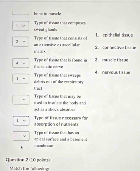 bone to muscle 
1 Type of tissue that composes 
sweat glands 
1. epithelial tissue 
Type of tissue that consists of 
2 
an extensive extracellular 2. connective tissue 
matrix 
4 Type of tissue that is found in 3. muscle tissue 
the sciatic nerve 
4. nervous tissue 
Type of tissue that sweeps 
1 debris out of the respiratory 
tract 
Type of tissue that may be 
used to insulate the body and 
act as a shock absorber 
1 Type of tissue necessary for 
absorption of nutrients 
Type of tissue that has an 
apical surface and a basement 
membrane 
Question 2 (10 points) 
Match the following: