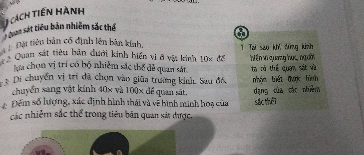 cách tiến hành 
# Quan sát tiêu bản nhiễm sắc thể 
: Đặt tiêu bản cố định lên bàn kính. 
1 Tại sao khi dùng kính 
t 2 Quan sát tiêu bản dưới kính hiển vi ở vật kính 10× để hiển vi quang học, người 
lựa chọn vị trí có bộ nhiễm sắc thể dễ quan sát. ta có thể quan sát và 
3 Di chuyển vị trí đã chọn vào giữa trường kính. Sau đó, nhận biết được hình 
chuyển sang vật kính 40× và 100× để quan sát. dạng của các nhiễm
4 Đếm số lượng, xác định hình thái và vẽ hình minh hoạ của sắc thể? 
các nhiễm sắc thể trong tiêu bản quan sát được.