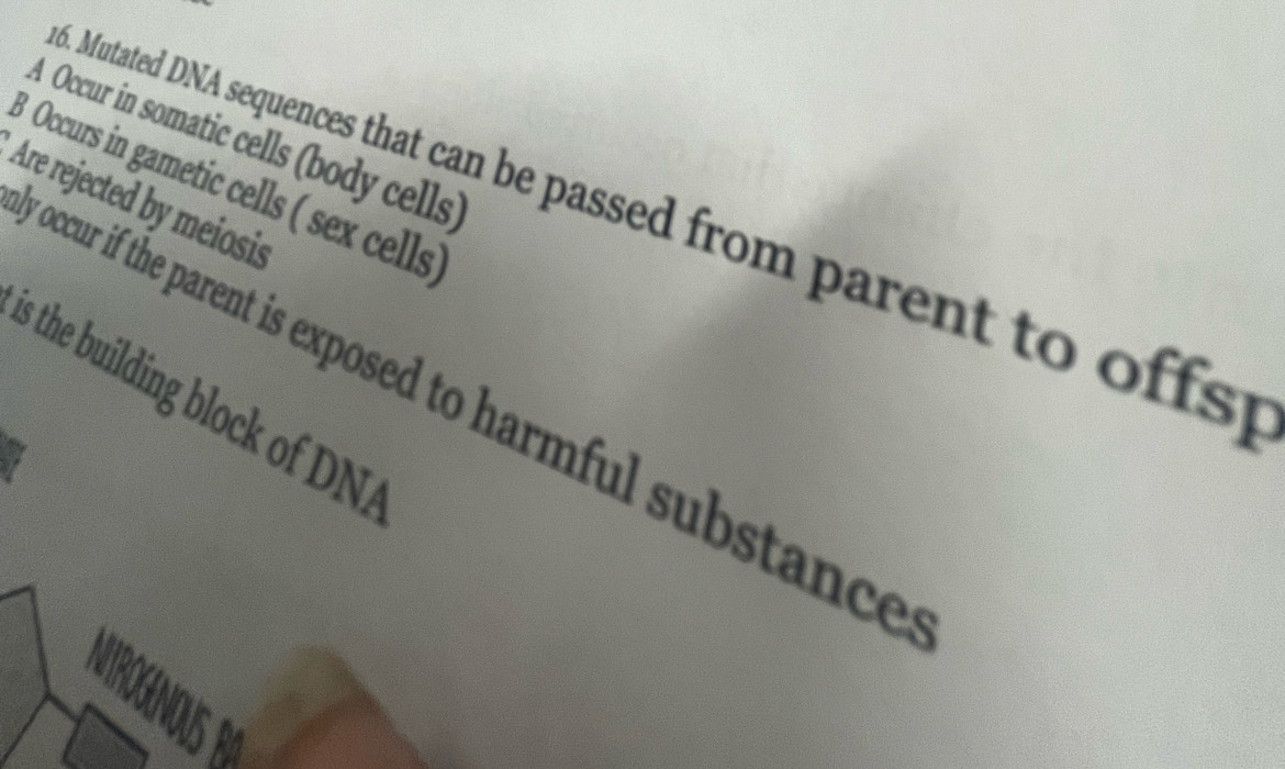 、
A Occur in somatic cells (body cells)
B Occurs in gametic cells ( sex cells
Are rejected by meiosis
. Mutated DNA sequences that can be passed from parent to offsy
occur if the parent is exposed to harmful substance
s the building block of DNA
NIROGNS B